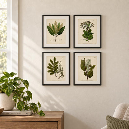 Vintage Botanical Wall Art, Set of 4 Unframed 8X10 Fern Prints